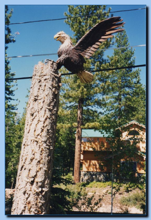 2-31 eagle with wings up, attached-archive